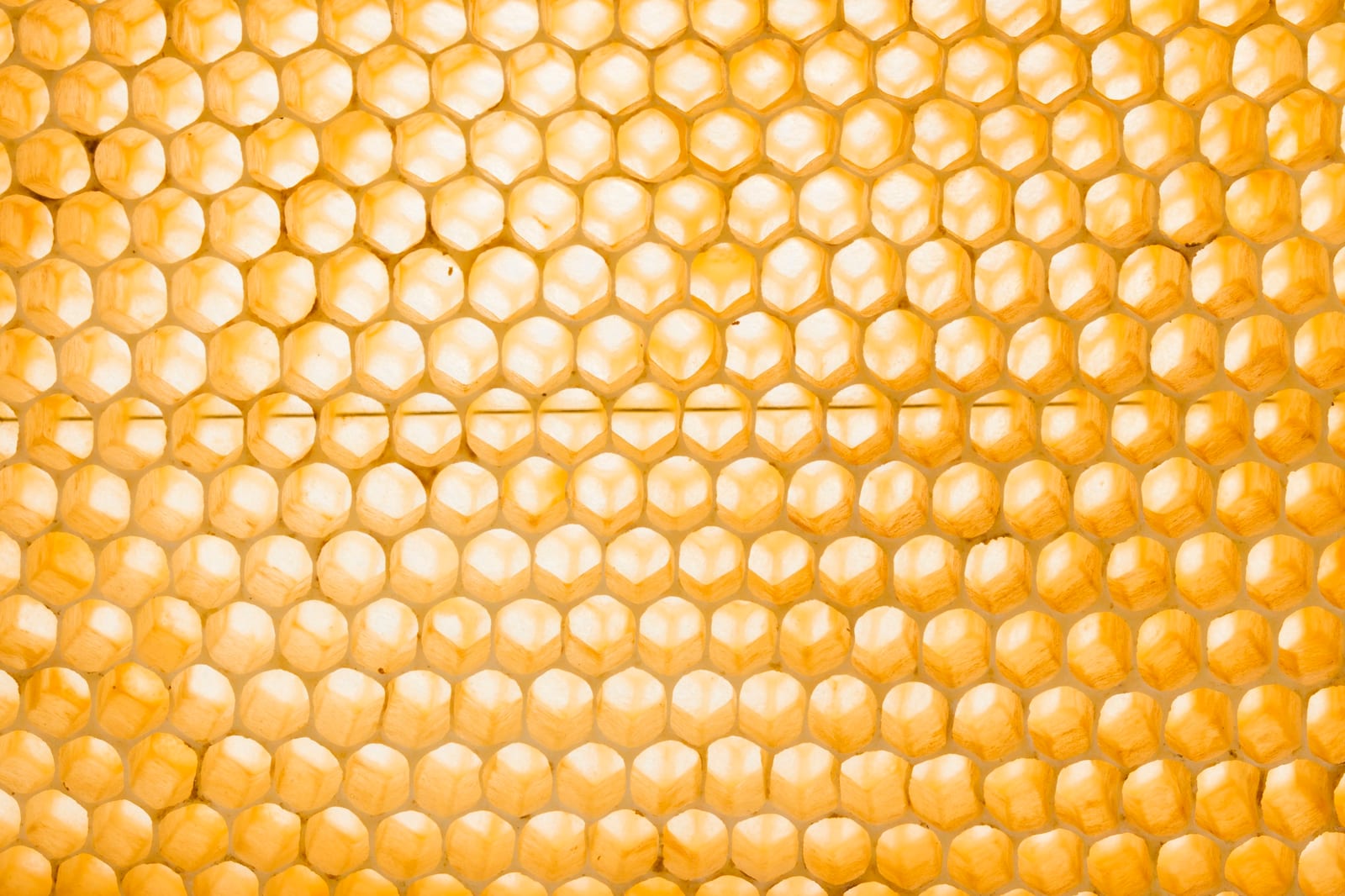 Máscara de Apicultura com Tela — produto da linha Néctar das Flores